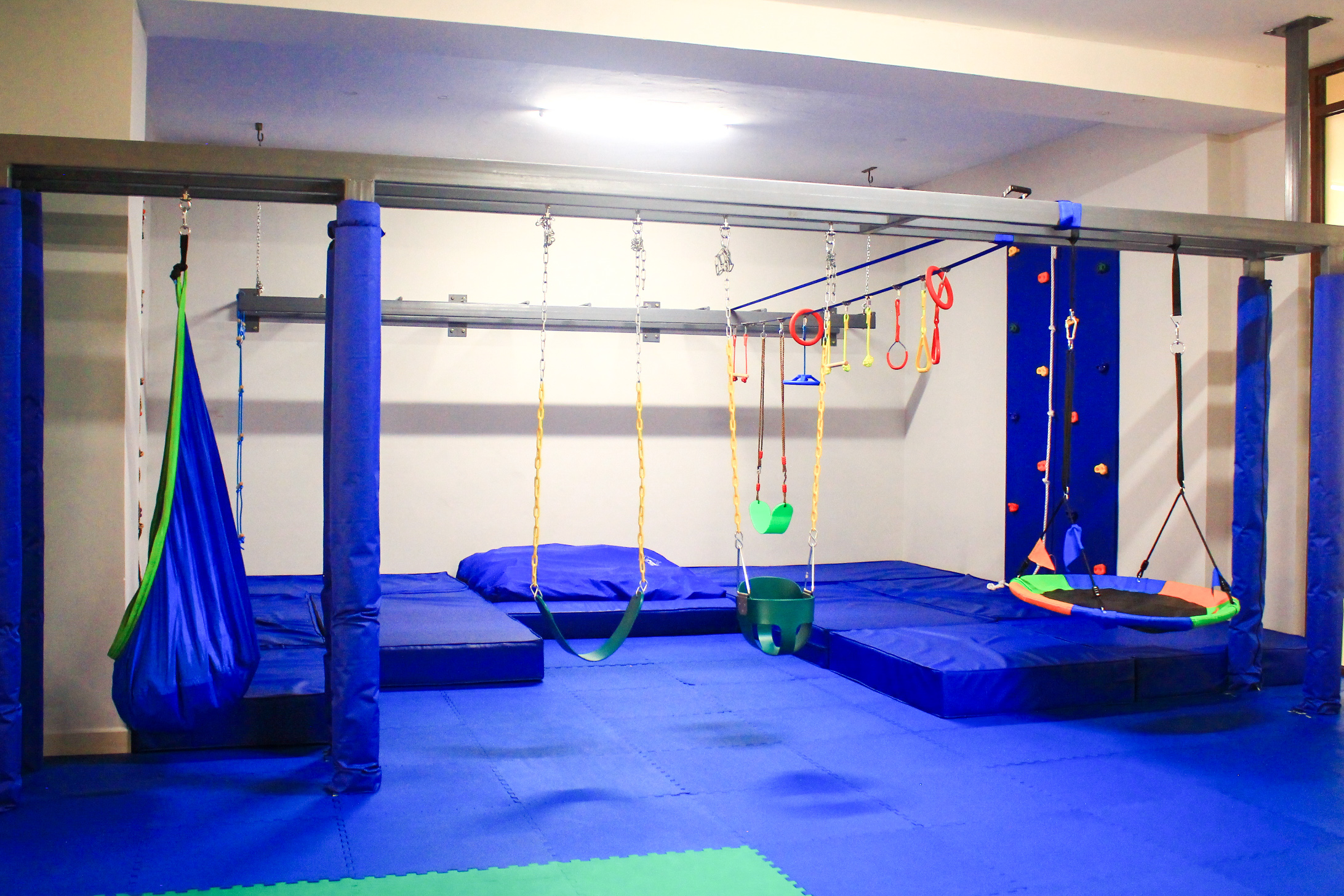 Sensory swings and gym